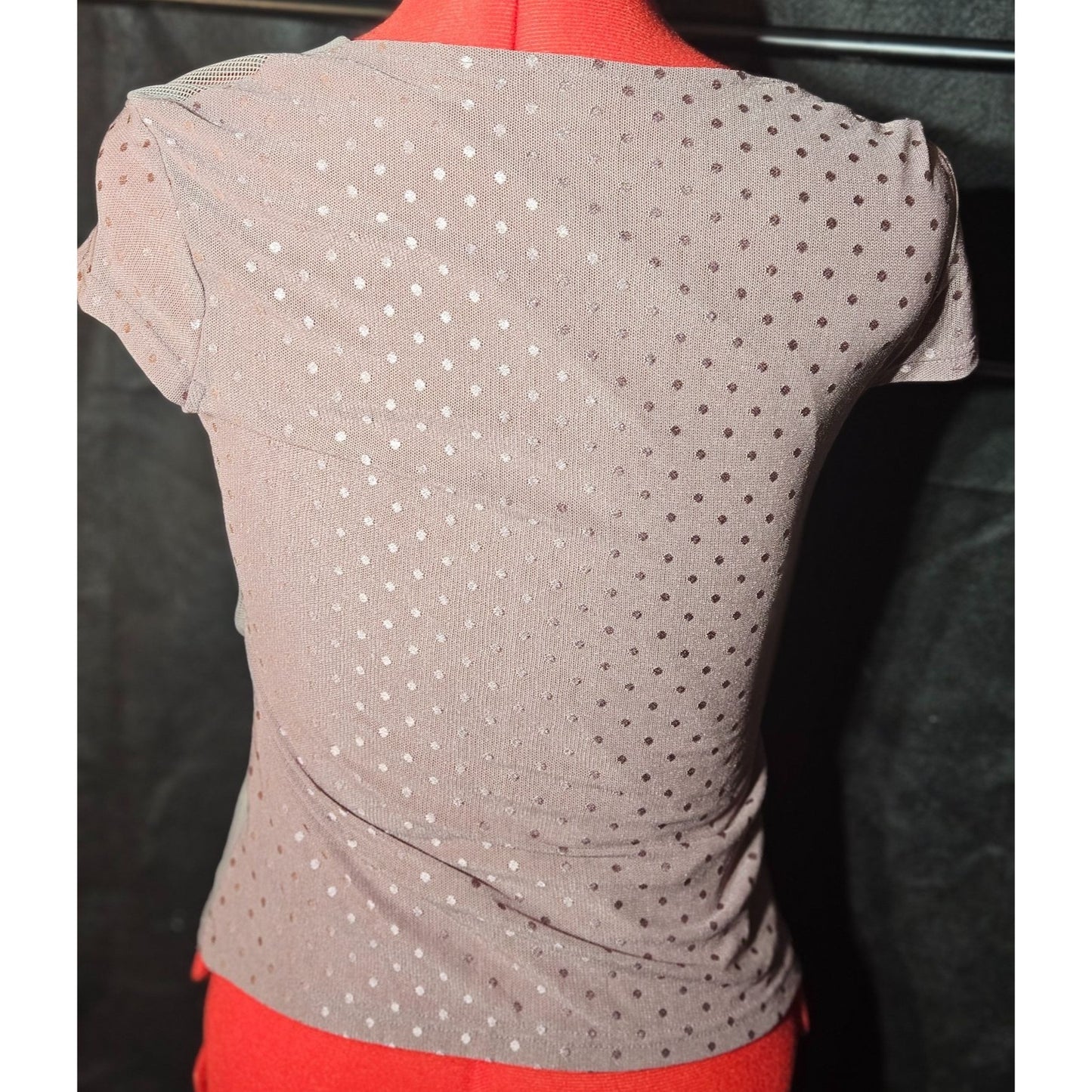 Sheer Polka Dot Mesh Cowl Neck Top