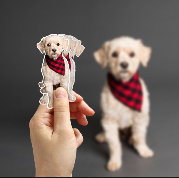 Your Image as a Sticker!